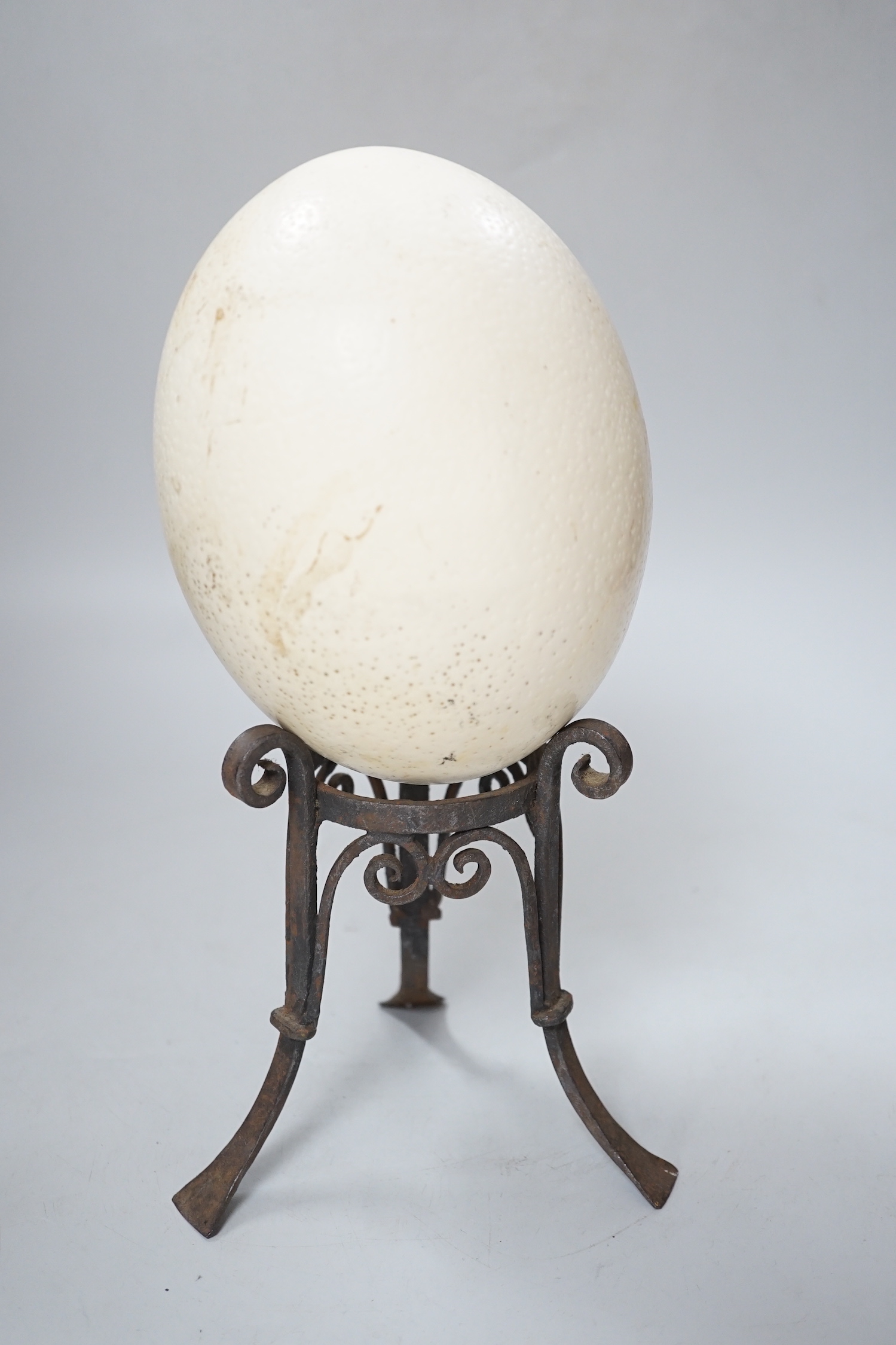 An ostrich egg on wrought iron stand, 29cm